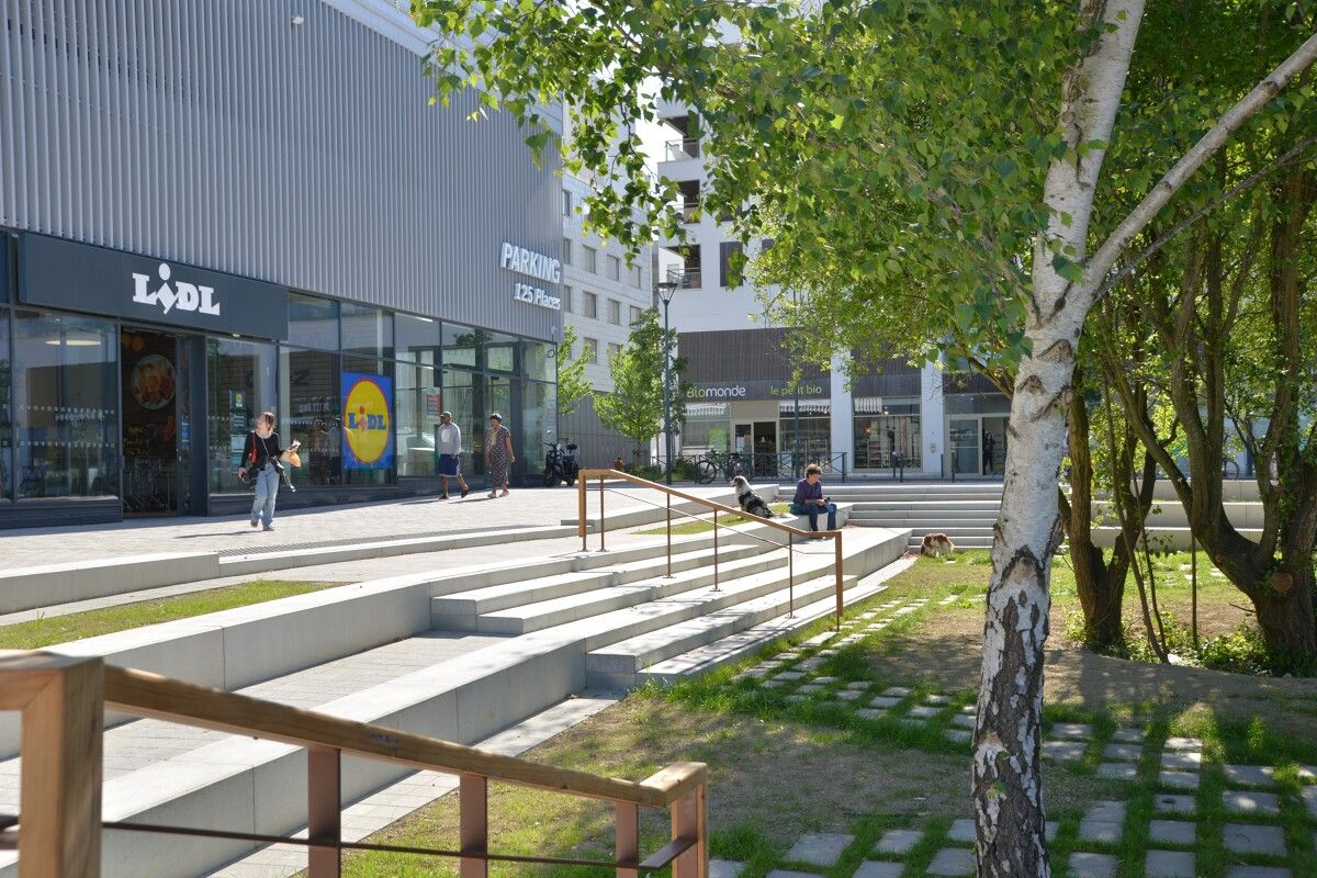 Rennes Baud Chardonnet sud de la place Assia Djebar et Lidl Franck HAMON 24351 1200px