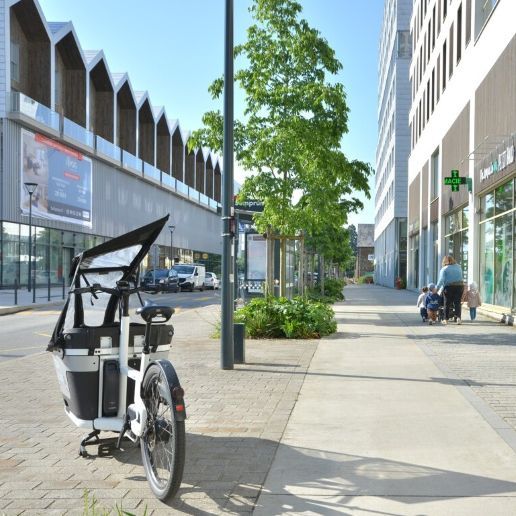 Des travaux pour plus de fraicheur à Baud-Chardonnet