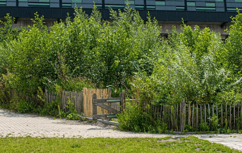 agenda-microforet-Baud