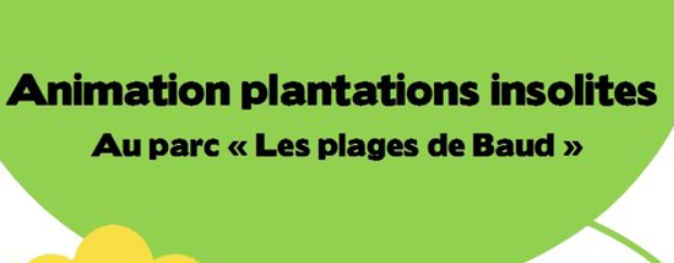 plantations-insolites-vert-le-jardin